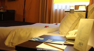 میم هتل استانبول