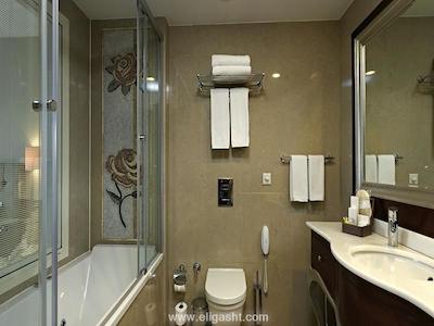 الیسیوم استایل تکسیم