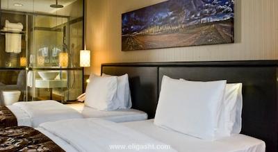 الیسیوم استایل تکسیم