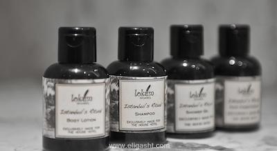 هاوس هتل نیشانتاشی