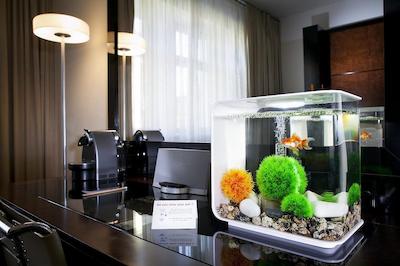 ماکسیمیلیان