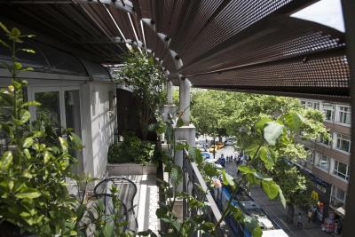 فاروس اولد سیتی-اسپشیال کتگوری