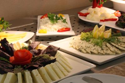 دریم هیل بیزینس دلوکس