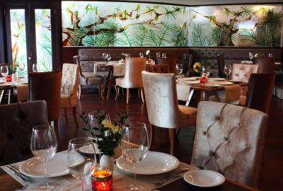 دریم هیل بیزینس دلوکس