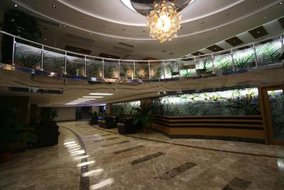 دریم هیل بیزینس دلوکس