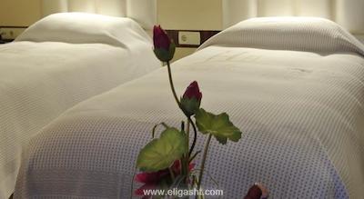 سیتی پورت هتل