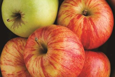 لا کوینتا این اند سویتز پنتون بیچ