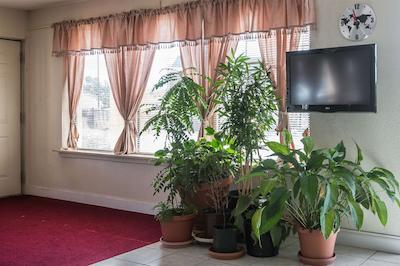 ردو این اند سویتز ماریتا