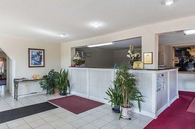 ردو این اند سویتز ماریتا