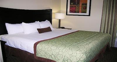 اکسو سویتس بو سیناتور کالکشن