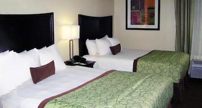 اکسو سویتس بو سیناتور کالکشن