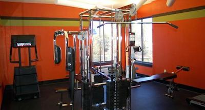 اکسو سویتس بو سیناتور کالکشن