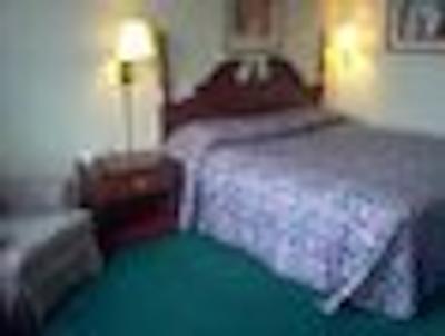 نایتز این پرو