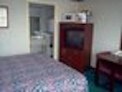 نایتز این پرو