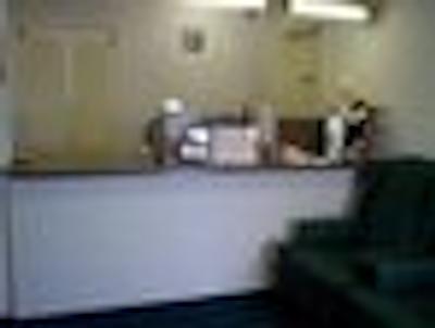 نایتز این پرو