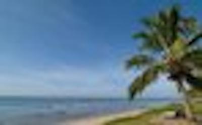 تیولی اکریزرت پریا دو فرت