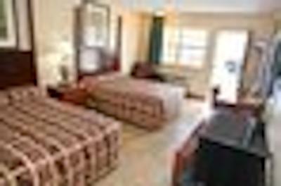 نایتز این اُرلاندو