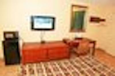 نایتز این اُرلاندو