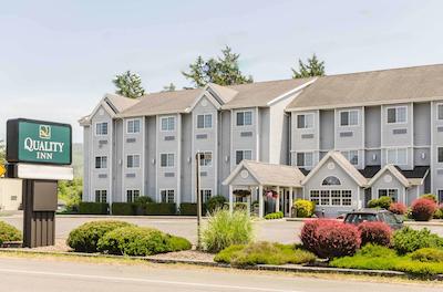 کوالیتی این اسیسید اُرگون