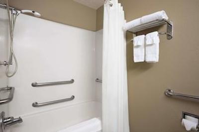 میکرتل این اند سویتز سدار راپیدز / مارین