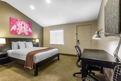 ردو این سان دیگو بیچ اسیورلد اریا