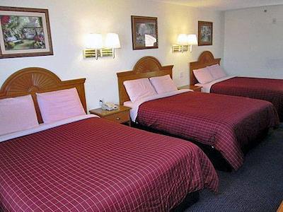 متل 6 هوچینس تکس #4715