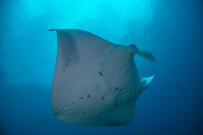 آکواتور ویلیج