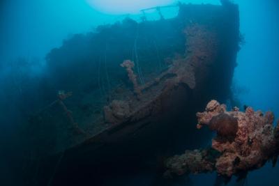 آکواتور ویلیج