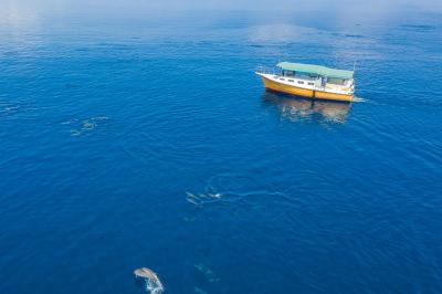 آکواتور ویلیج