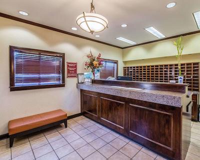 همتون استودیز اُرلاندو اسود