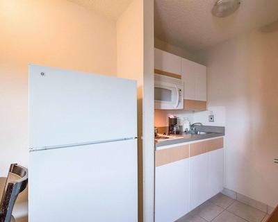 همتون استودیز اُرلاندو اسود