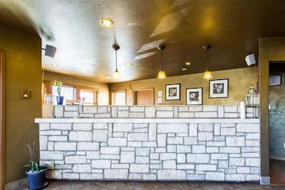 اکنو لج گونیسُن