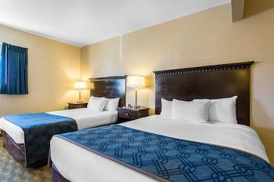 اکنو لج گونیسُن