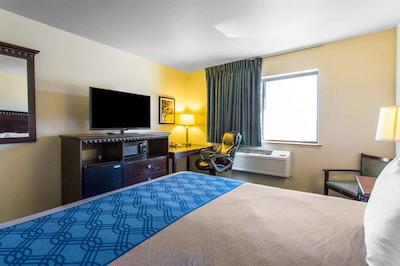 اکنو لج گونیسُن