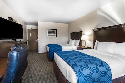 اکنو لج گونیسُن