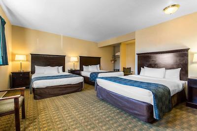 اکنو لج گونیسُن