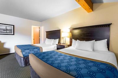 اکنو لج گونیسُن