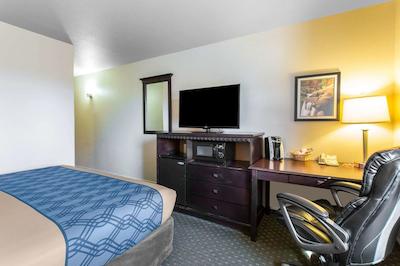 اکنو لج گونیسُن