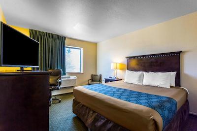 اکنو لج گونیسُن