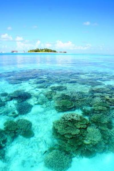 میریهی آیلند ریزورت