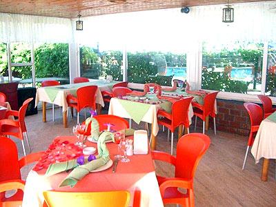 نو گاردن اپارت