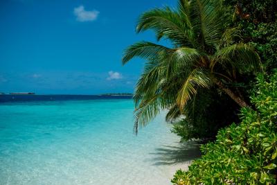 بیادهو آیلند