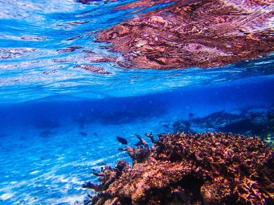 بیادهو آیلند