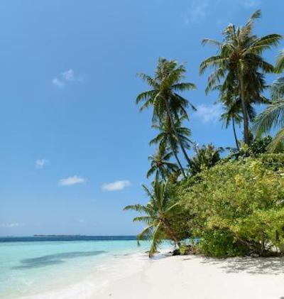 بیادهو آیلند