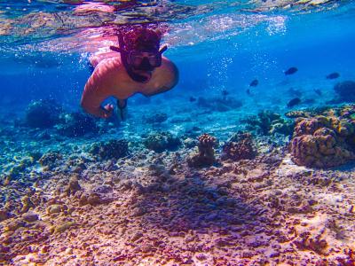 بیادهو آیلند