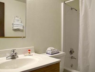 تراولج یانکتون