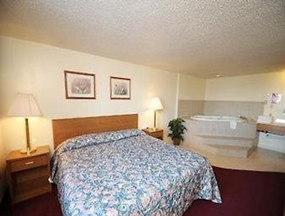 تراولج یانکتون