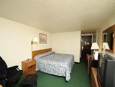 تراولج یانکتون