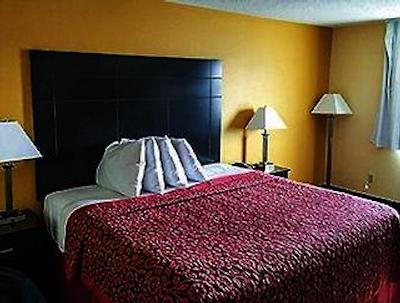 دز این میامی