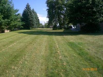 تراول این رکفرد